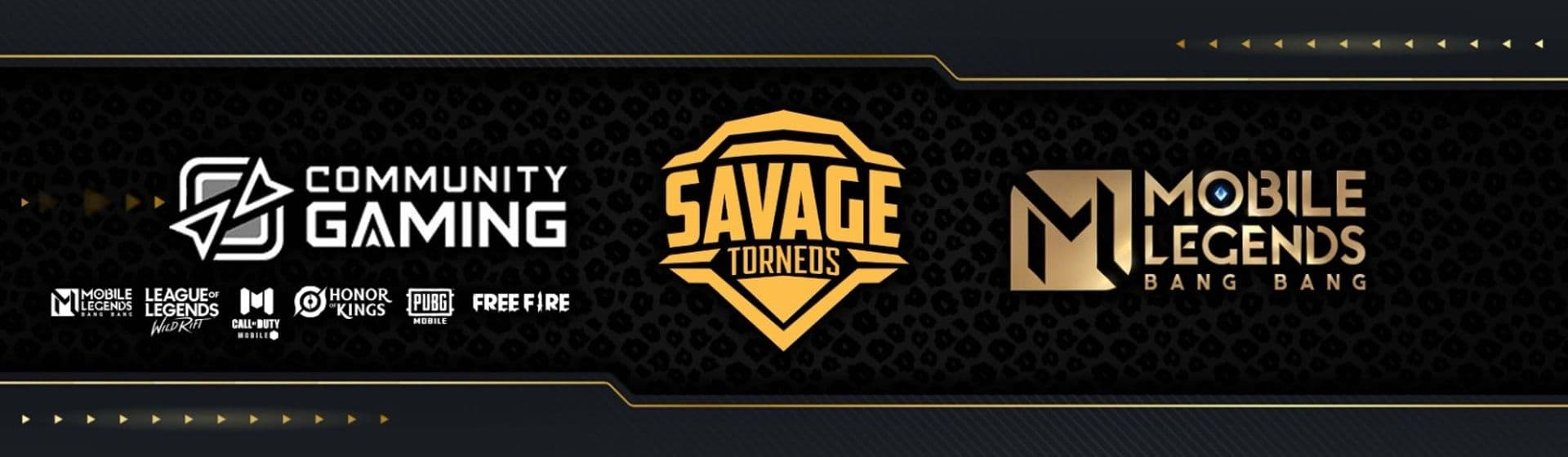 1v1 VIP